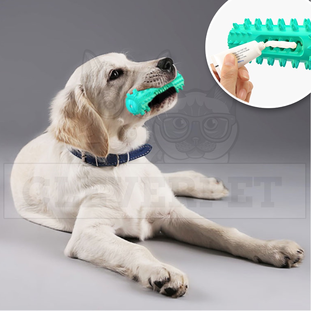 [พร้อมส่ง ] Dog Dental Bone กระดูกแปรงฟัน กระดูกสุนัข กระดูกขัดฟัน ลดกลิ่นปาก ของเล่นสุนัข Dog Toothbrush Cleverpet