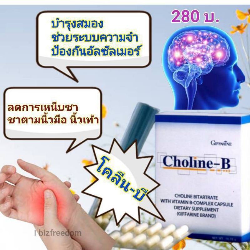Choline-B โคลีน-บี ผลิตภัณฑ์เสริมอาหาร