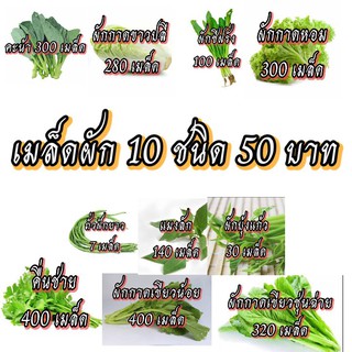 เมล็ดผักสวนครัว เมล็ดผัก10ชนิด ชุดที่1