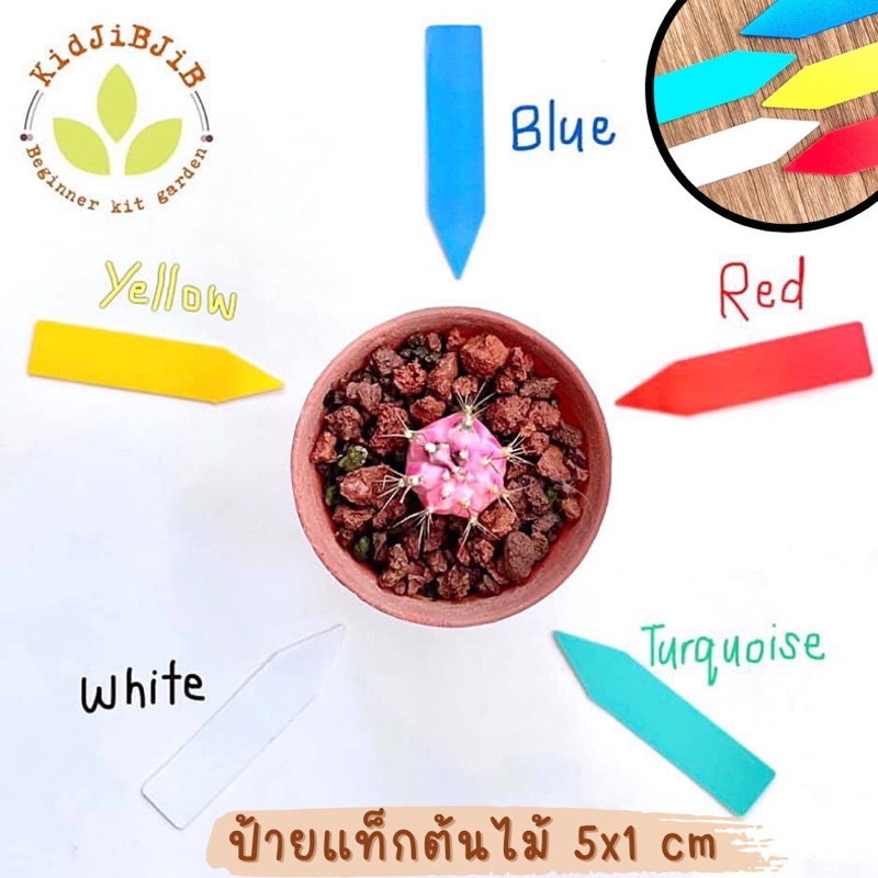 ป้ายแท็กพลาสติก ป้ายแท็ก สำหรับตกแต่งสวน ขนาดเล็ก 5x1 cm. ป้ายสำหรับเขียนบอกชื่อพืช แบบปัก ป้ายแท็กต้นไม้ ป้ายแท็ก