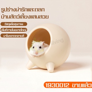 บ้านแฮมสเตอร์ Hamster House สำหรับสัตว์เลี้ยง บ้านโดม บ้านหนูแฮมสเตอร์ ทรงกลม บ้านหลบ รังนอนหนูแฮมสเตอร์ ที่นอนแฮมเตอร์