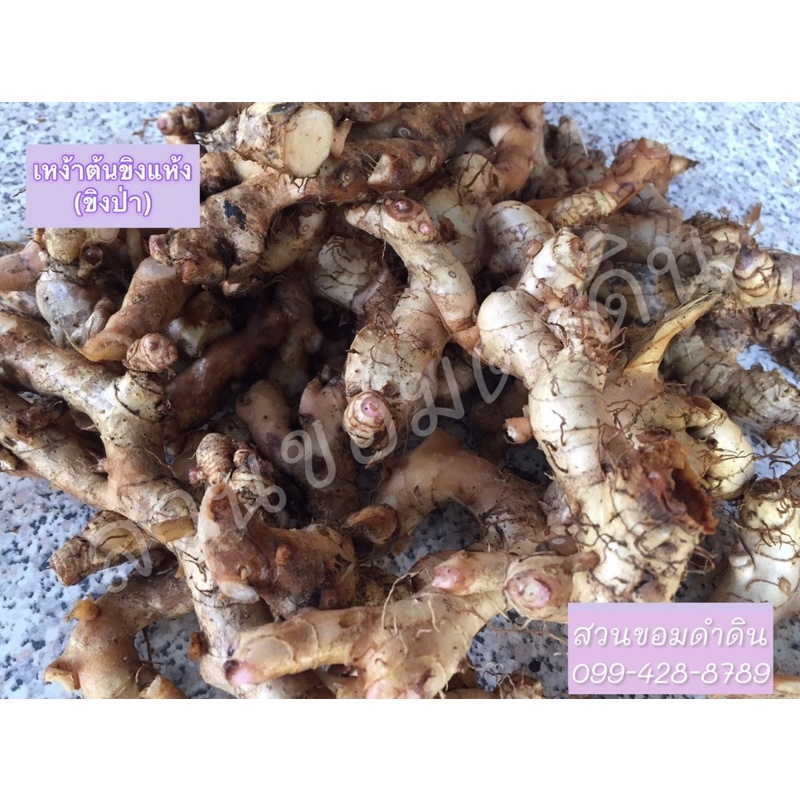 เหง้าต้นขิงแห้ง/หัวต้นขิงแห้ง