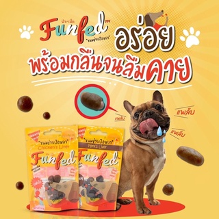 ขนมป้อนยาเม็ดสุนัข แมว Funfed Pocket Tablet Dog cat Treats 14 ชิ้น 20 g รสตับไก่ และปลาแซลมอล (chews)ลชิน