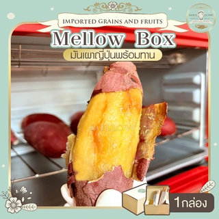 Mellow Box 1 กล่อง มันหวานญี่ปุ่นเบนิฮารุกะ 1 กล่องมี 2หัว นน.400-450g เบนิฮารุกะ มันญี่ปุ่นแท้ มันเผาญี่ปุ่นพร้อมทาน