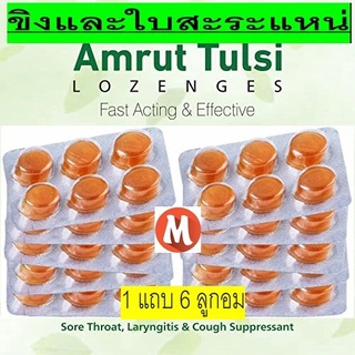 Amrut Tulasi Ginger &amp; MInt กระเพรา ขิงและสะระแหน่ ลูกอม 1 แถบ 6 ลูกอม