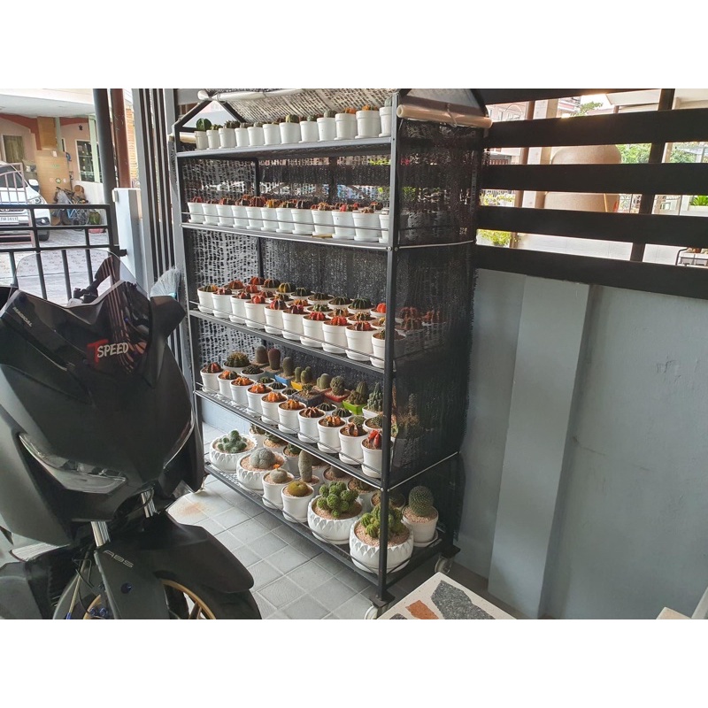 (T0037)🌵🌵โรงเรือนสำเร็จรูปชั้นวางตะแกรงเหล็กฉีกหลังคา+รอบด้านพลาสติกใส(กว้าง50ยาว150สูง200cm9,790บาท