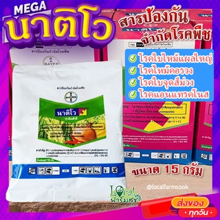 นาติโว 75 ดับบลิวจี 🍃 สารป้องกันกำจัดโรคพืช โรคไหม้ โรคใบจุด โรคแอนเทรคโนส ขนาด 15 กรัม