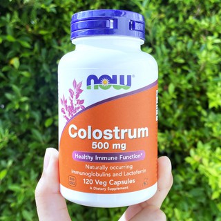 คอลอสตรัม Colostrum 500 mg 120 Veggie Caps (Now Foods®) โคลอสตรุม โคลอสตรัม