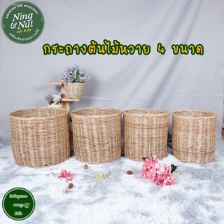 ✅ขายดีมากๆ ราคาถูก🌿กระถางต้นไม้หวาย มี4ขนาด ส่งเร็วเก็บเงินปลายทางได้