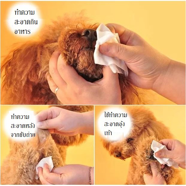 รูปภาพ 4