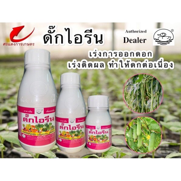 ดั๊กไอรีน ฉีดพ่นได้ตั้งแต่ระยะออกดอกจนเก็บเกี่ยวผลผลิต