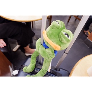 ตุ๊กตากบเศร้า ตุ๊กตากบpepethefrog