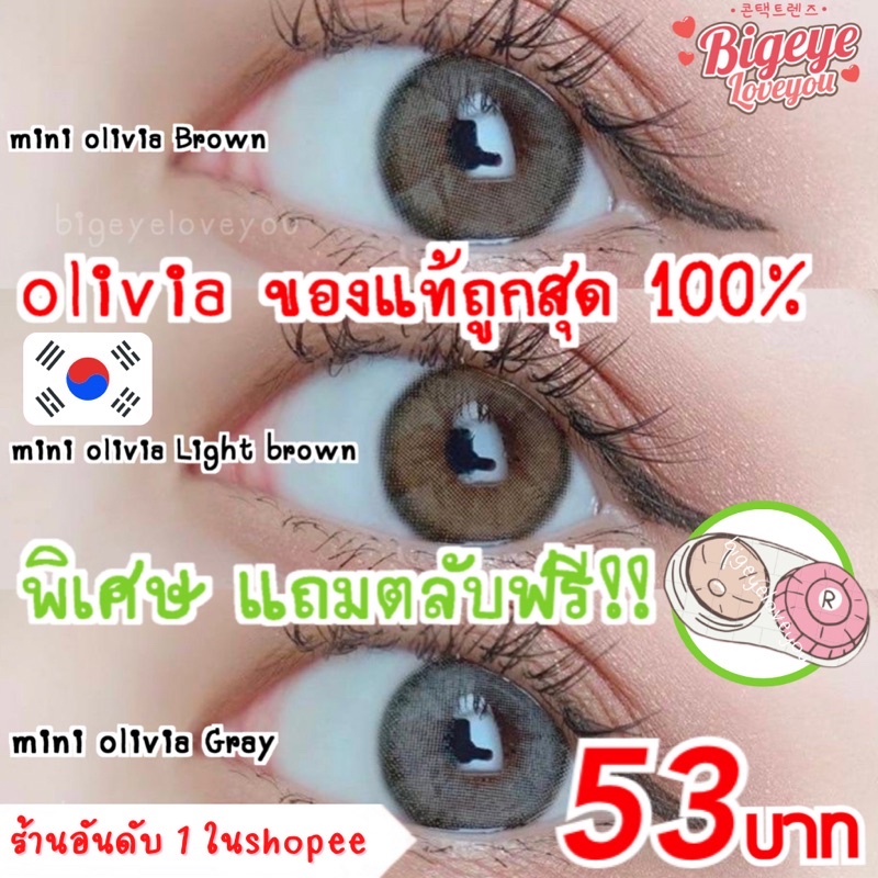 คอนแทคเลนส์ Mini Olivia Brown / Light Brown / Gray (Kitty Kawaii) ขนาดมินิ  🌷 ลายฮิต ขายดีมาก [ค่าสายตาปกติ ถึง -375] | Shopee Thailand