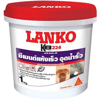 ซีเมนต์ปลั๊ก LANKO 224 ขนาด 1 กก.