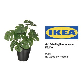 🔥SALE🔥ต้นไม้ประดิษฐ์ IKEA FEJKA