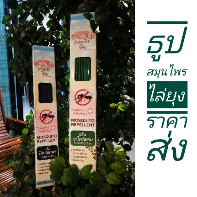ธูปไล่ยุง Incense (ราคาส่ง!! 50 กล่อง)