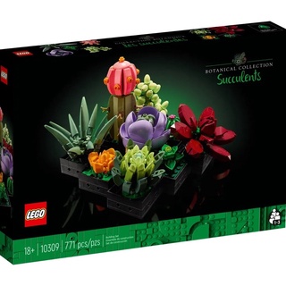 LEGO Botanical Succulents Plant 10309