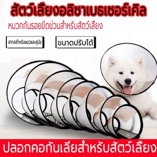 🐶ปลอกคอกันเลีย ลำโพงกันเลีย คอลล่ากันเลีย คอลล่าสุนัข คอลล่าแมว ลำโพงหมา คอลล่าหมา ปลอกคอกันเลียสุนัข🐱