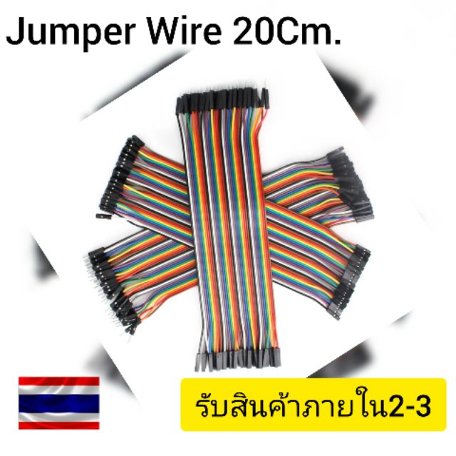 Jumper Wire (Dupont Cable 20Cm)