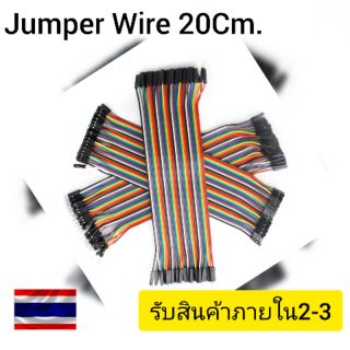 Jumper Wire (Dupont Cable 20Cm)