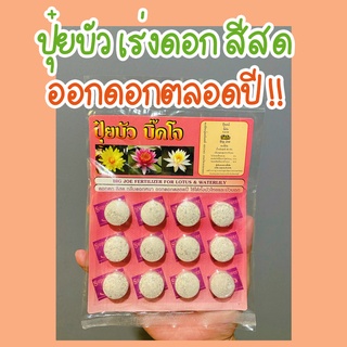 ปุ๋ยบัว ปุ๋ยไม้น้ำ บิ๊คโจ เร่งดอก สีสด ออกดอกตลอดปี พร้อมส่ง