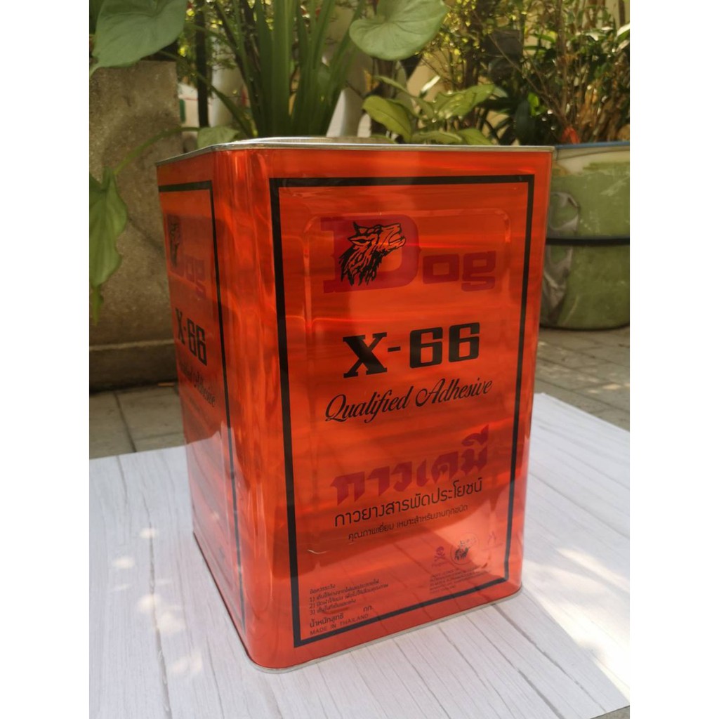 กาวเหลือง ด็อก อเนกประสงค์ ตราหมา X-66 12KG ปี๊ป ***ชนิดทา*** ราคา ถูกที่สุด ดีลบีเคเค รูปภาพหลัก