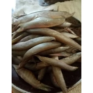 ปลาหลดแดดเดียวขนาด​ 1​กิโลกรัม​