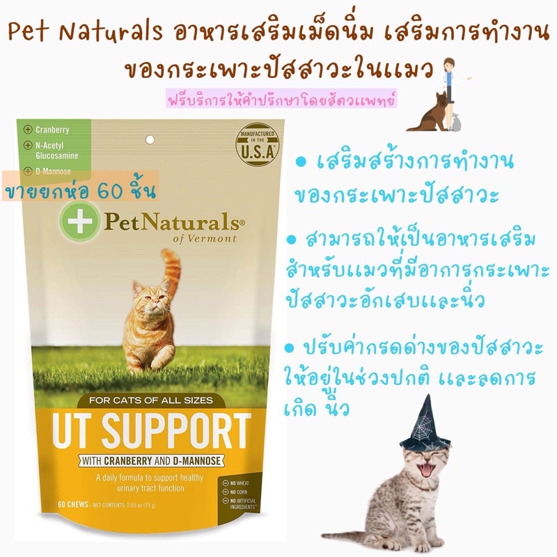 🐱🐱 Pet Naturals of Vermont UT Support 60 เม็ด ช่วยลดความเสี่ยงในการเกิดกระเพาะปัสสาวะอักเสบและนิ่ว