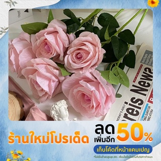 กุหลาบกำมะหยี่สีชมพูอ่อน 1 ดอก สูง 50 cm