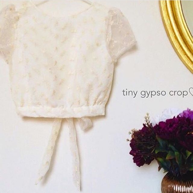 Tiny gypso crop