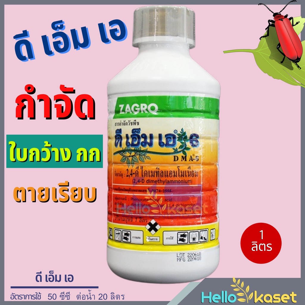 ดีเอ็มเอ ขนาด 1 ลิตร สารกำจัดวัชพืชใบกว้าง หญ้ายาง ผักเบี้ยหิน กกขนาด ตุยถึงรากถึงโคน