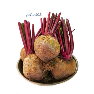 Beetroot บีทรูทสด​ หัวบีทรูท 1 kg