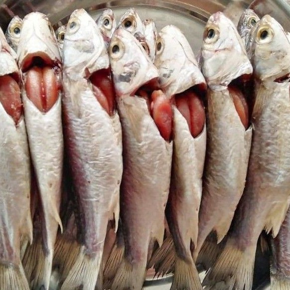 Best Seller, High Quality ปลากระบอกไข่ร้า​ 1​กิโลกรัม​ ไข่ทะลักทุกตัว​ เค็มนัวๆ​ เนื้อนิ่มๆ​ ทอดแล้วหอมมากค่ะ อาหารทะแลแห้ง ปลาแดดเดียวชนิดต่างๆ ปลาฉิงฉ้างตากแห้ง ปลาหมึกแห้ง ปลาสลิด สินค้าขายดีและมีคุณภาพสำหรับคุณ
