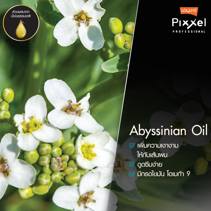 โลแลน พิกเซล แฮร์ สปา มาส์ก สูตรดับเบิ้ลคัลเลอร์ล็อค 450 กรัม - รูปที่ 3