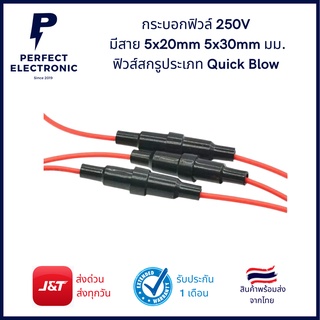 กระบอกฟิวล์ มีสาย5x20mm 5x30mm มม.ฟิวส์สกรูประเภท Quick Blow ฟิวส์  250V