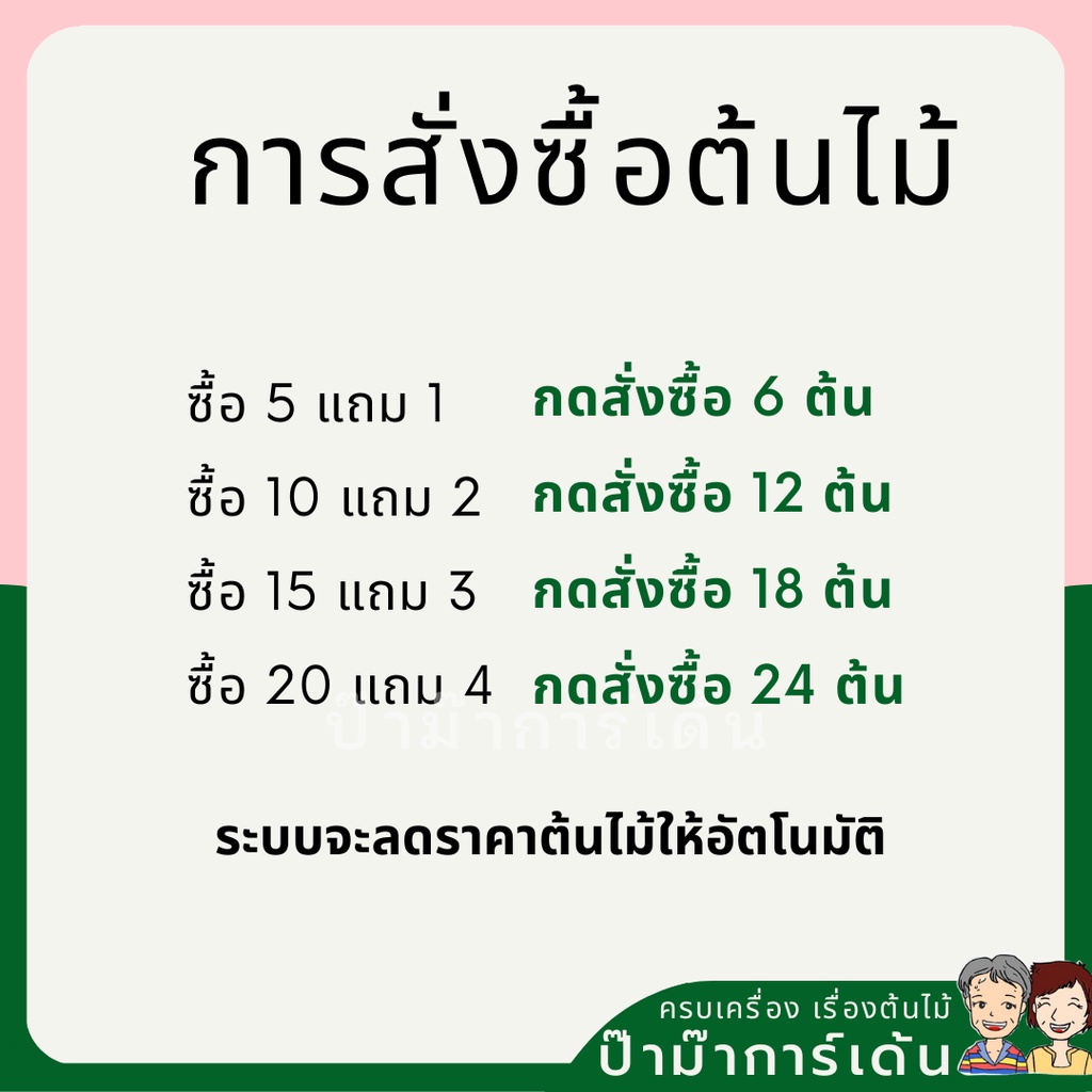 มุมมอง 2