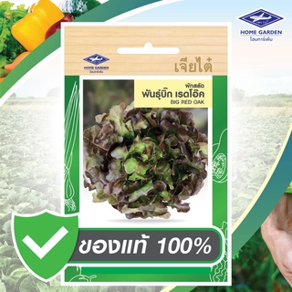 เมล็ดพันธุ์ ตราเจียไต๋โฮมการ์เด้น ผักกาดหอม บิ๊กเรดโอ๊ค ซ. 0.5 g