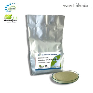 iKnowZyme Xylanase Powder เอนไซม์ไซลาเนสผง ขนาด 1 กิโลกรัม