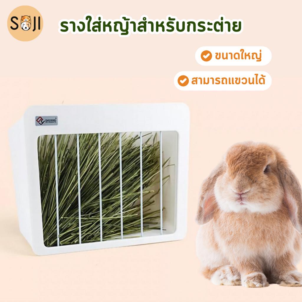 พร้อมส่ง รางใส่หญ้ากระต่าย ที่ใส่หญ้ากระต่าย ของใช้กระต่าย รางใส่หญ้ากระต่ายติดกรง 2 in 1 ชามอาหารกระต่าย