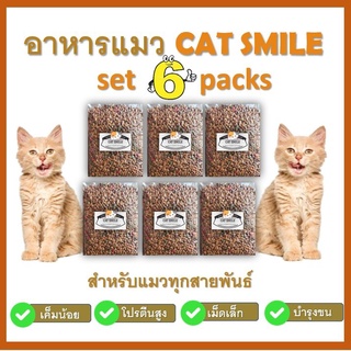 BD-  Cat Smile อาหารแมวรสปลารวมทะเล สูตรเค็มน้อย 6 kg