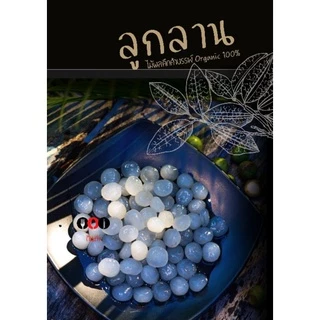 ลูกลาน 🌴[เชื่อม|สด] 500กรัม🌴