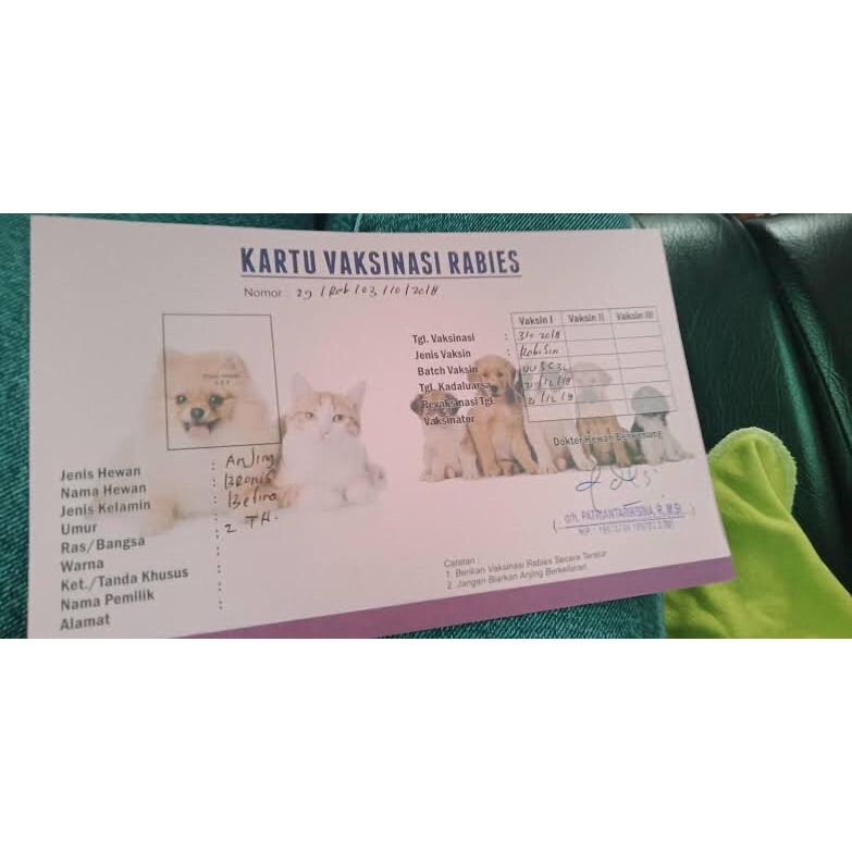 การ์ดฉีดวัคซีน Rabies