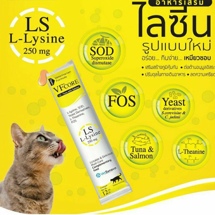VF Core Lysine อาหารเสริม ไลซีน ทูน่าและแซลมอน เสริมภูมิต้านทาน 12 g × 5 ซอง/ × 10 ซอง