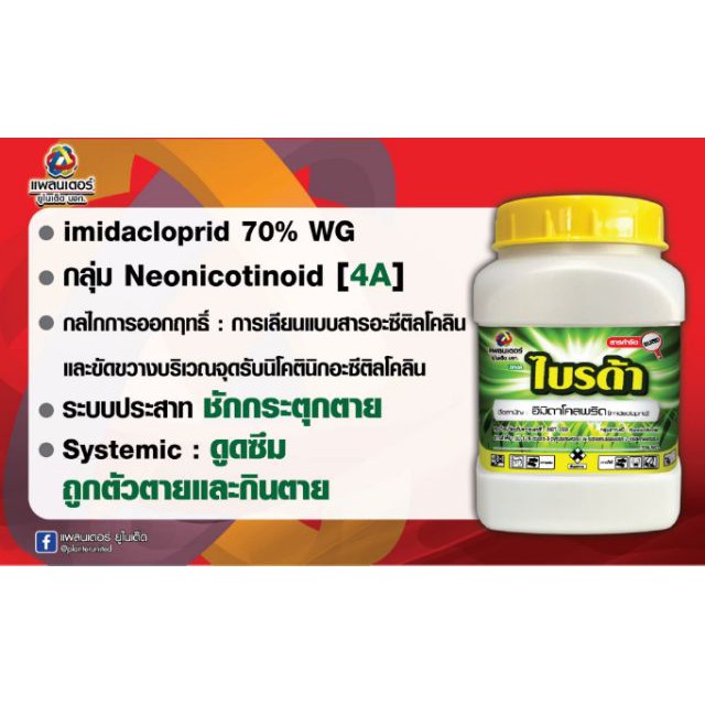 ไบรด้า ยาฆ่าเพลี้ยทุกชนิด แมลงหวี่ขาว หนอนชอนใบ สูตรน็อคเย็น ปลอดภัย ไม่รัด ไม่กัดนวล 100 กรัม (ตัวเดียวกับโปรวาโด้) - รูปที่ 2