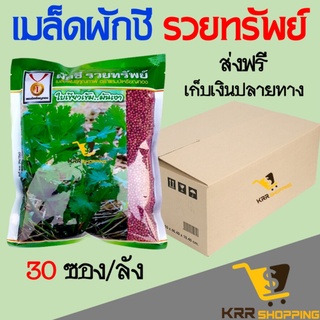 เมล็ดพันธ์ุผักชี รวยทรัพย์ (30 ซอง) ส่งฟรี เก็ยเงินปลายทาง ขนาด 300 กรัม เมล็ดผักชีจากอิตาลี เมล็ดผักชี ผักชี