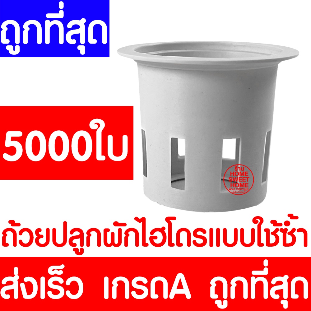 *ส่งไวมาก* ถ้วยปลูกผัก 5000ใบ ถ้วยขาวปลูกผัก ไฮโดรโปนิกส์ ไฮโดร สลัด salad  hydroponic hydro ใช้ซ้ำ หนา เหนียว clearance