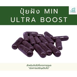 ปุ๋ยฝัง min ultra boots : เร่งการเจริญเติบโตของต้นไม้น้ำ สำหรับไม้กลุ่มสีเขียว ต้องการทำฟอร์มให้แน่น จัดแต่งเป็นพุ่ม