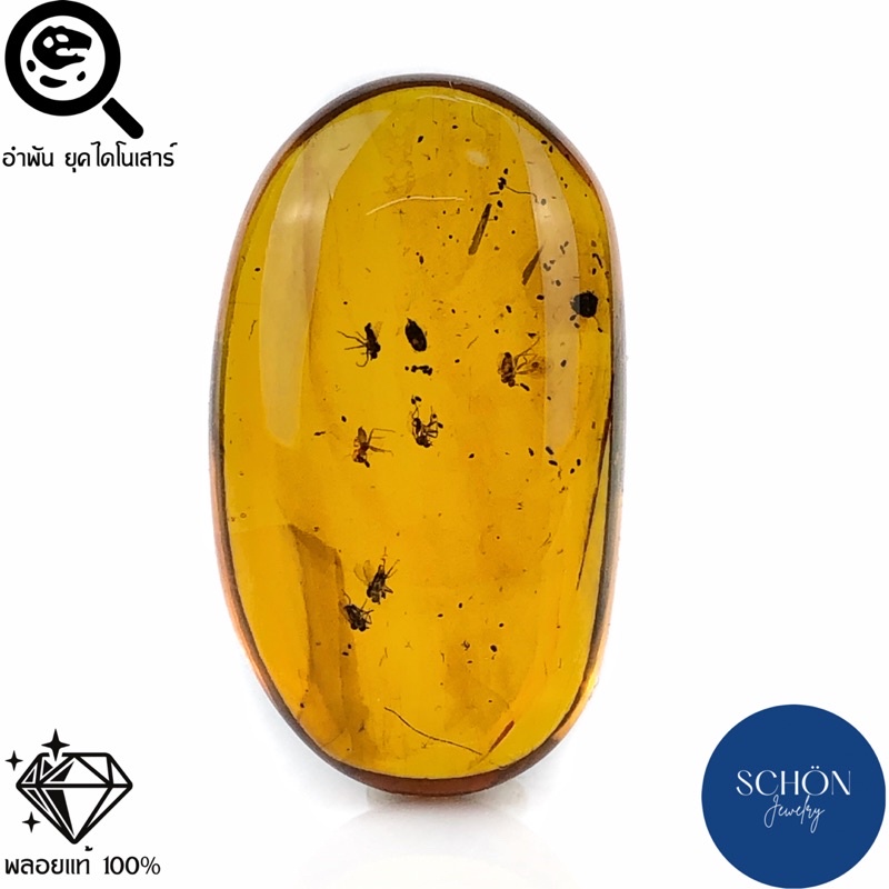 ฟอสซิล อำพันแท้ มีแมลง พม่า (Schon Jewelry ) ของแปลก ของหายาก อำพันมีแมลง AM-SEC