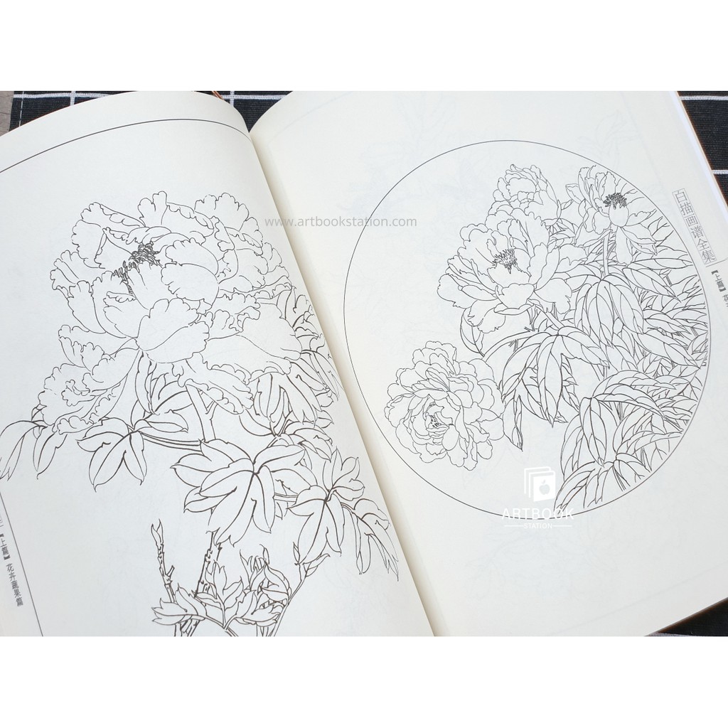 หนังสือรวมภาพลายเส้นศิลปะจีน ภาพดอกไม้ ใบไม้ พืชพรรณ เล่มหนา ใช้ศึกษาลายเส้น  หรือใช้ดราฟเพื่อการลงสี | Shopee Thailand