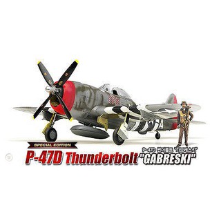 Academy Model 1/48 AC12222 P-47D THUNDERBOLT "GABRESKI"